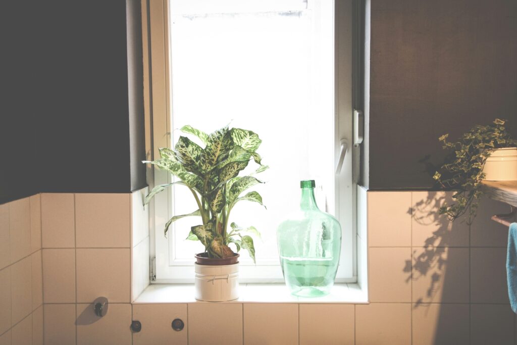 Kondenswasser an einem Badezimmerfenster deutet auf Feuchtigkeit hin